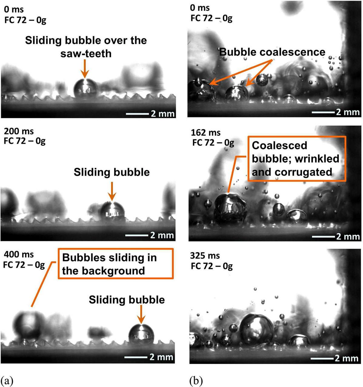 jsc2020e030483 (4/20/2020) --- A preflight image sequence from parabolic flight experiments indicating motion of vapor bubble on heated ratchet surface. Asymmetric Sawtooth and Cavity-Enhanced Nucleation-Driven Transport (PFMI-ASCENT) demonstrates a passive cooling system for electronic devices in microgravity using a microstructured surface. When fluids boil over flat heated surfaces in microgravity, vapor bubbles grow larger in size, causing poor heat transfer that can lead to damage of devices. Adding microscopic rachets on the surface may passively enable mobility of vapor bubbles and prevent this damage. (Image courtesy of: Techshot, Inc.)