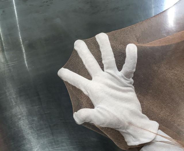 NASA image: ExHAM-Antenna Metal Mesh