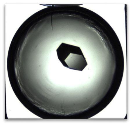 NASA image: jsc2021e010284