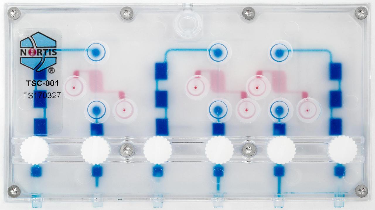 jsc2021e019396 (5/19/2021) --- Nortis Parvivo culture platform with three independently perfused kidney tubules. Twenty-four of these devices will be sent to the ISS-NL to study the effects of microgravity on kidney stone disease. Effects of Microgravity on the Structure and Function of Proximal and Distal Tubule MPS (Kidney Cells-02) uses a 3D kidney cell model or chip to study the effects of microgravity on formation of microcrystals in kidney tubules. Image courtesy of Alex Levine (UW School of Pharmacy).