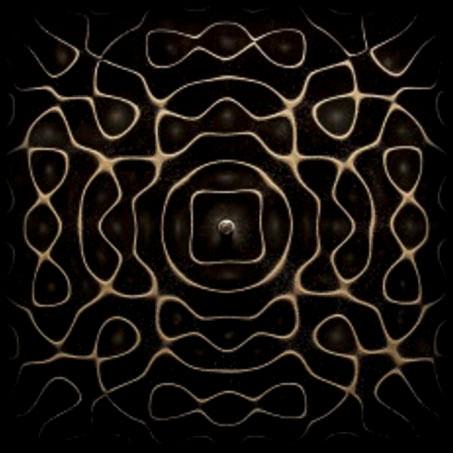 jsc2021e029743 (7/13/2021) --- A preflight view of the TECHNOLOGY BOX results of the Chladni’s Figures experiment on Earth . The main objective of Technology Box (Tetr’ISS) is to conduct experiments gathered in support equipment called ‘Platform’, to illustrate science principles based on physics and chemistry. For this mission Tetr’ISS contains the Chladni’s Figures experiment: a physical science experiment to observe the sound waves in 3D thanks to fine particles organized according to nodes and antinodes.