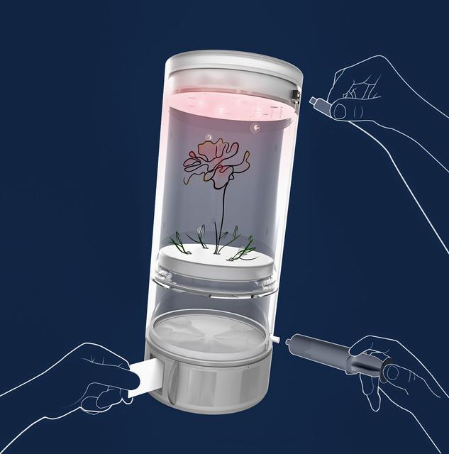 NASA image: Eklosion  Experiment