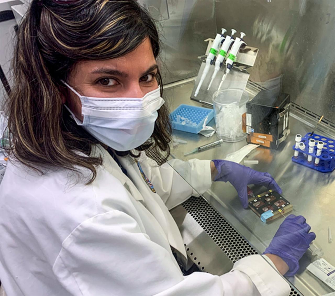 jsc2021e031155 (7/22/2021) --- A photo of postdoctoral fellow, Mahdis Shyan, PhD, exchanging the media of the engineered skeletal muscle bioreactor.T issue Engineered Muscle in Microgravity as a Novel Platform to Study Sarcopenia (Cardinal Muscle) evaluates whether engineered human muscle cells cultured in microgravity are a valid model for studying muscle loss. Photo courtesy of the Palo Alto Veterans Institute for Research.