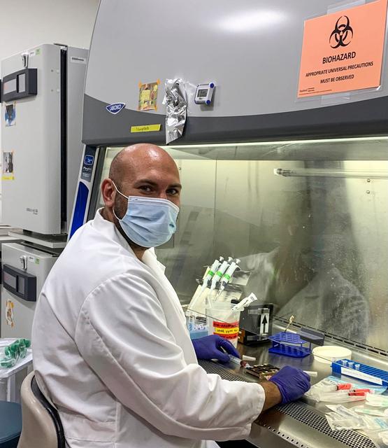 NASA image: Cardinal Muscle: jsc2021e031156