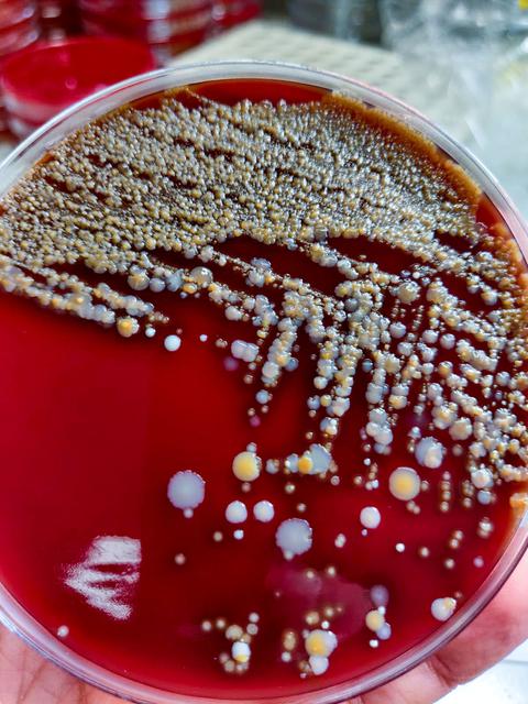 NASA image: PRO Imagery Submittal - Ice Cubes #9 - Project Maleth