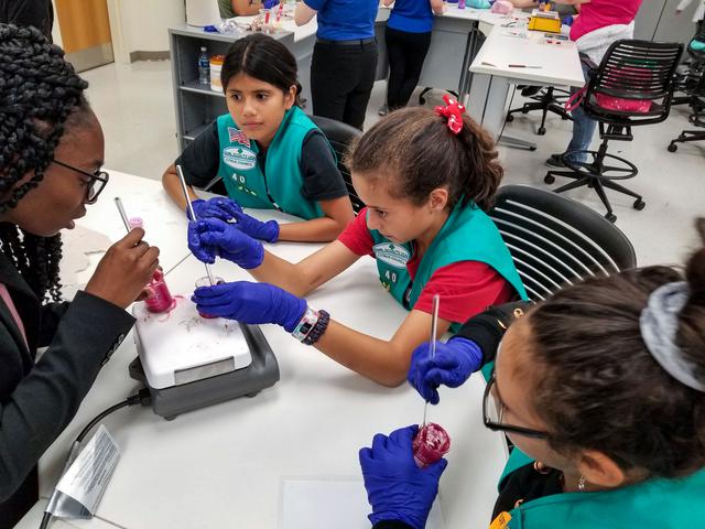 NASA image: PRO Imagery Submittal - Faraday-Girl Scouts