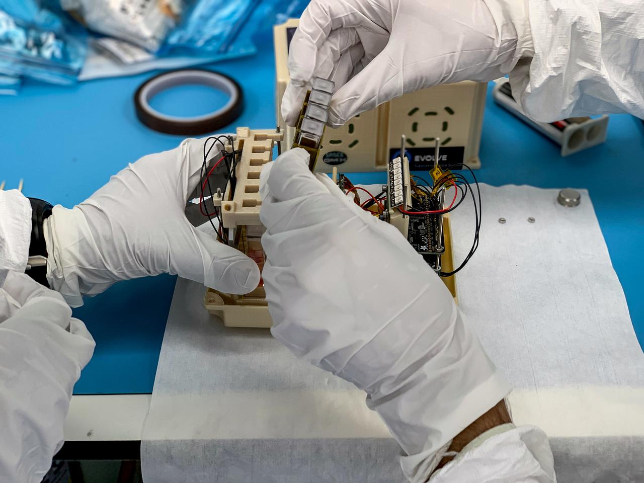 jsc2021e037896 (8/12/2021) --- A preflight imagevshows integration of 2nd to 5th sample cuvettes to fit between the first and last samples cuvettes. The sample cuvettes are securely fastened in place using tools and under strict clean room preparations. The Ice Cubes #9 – Project Maleth (Space Omics Analysis of the Skin Microbiome of Diabetic Foot Ulcers, or SpaceOMIX) investigation that studies Diabetes Mellitus Type 2 and Diabetic Foot Ulcers (DFU) using genetics and space biosciences is new and innovative research. Image courtesy Space Applications Services.