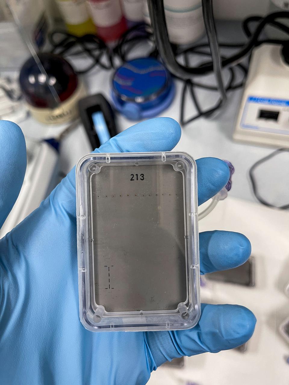 jsc2021e063284--For the Plant RNA Regulation Redux in Multi Variable Platform (MVP) (MVP-Plant-01) investigation, seeds are mounted to a membrane and assembled into a plate with wicking material. The investigation is started by hydrating the membrane via the port (shown in blue). Image courtesy of Grant Vellinger (Techshot/Redwire).