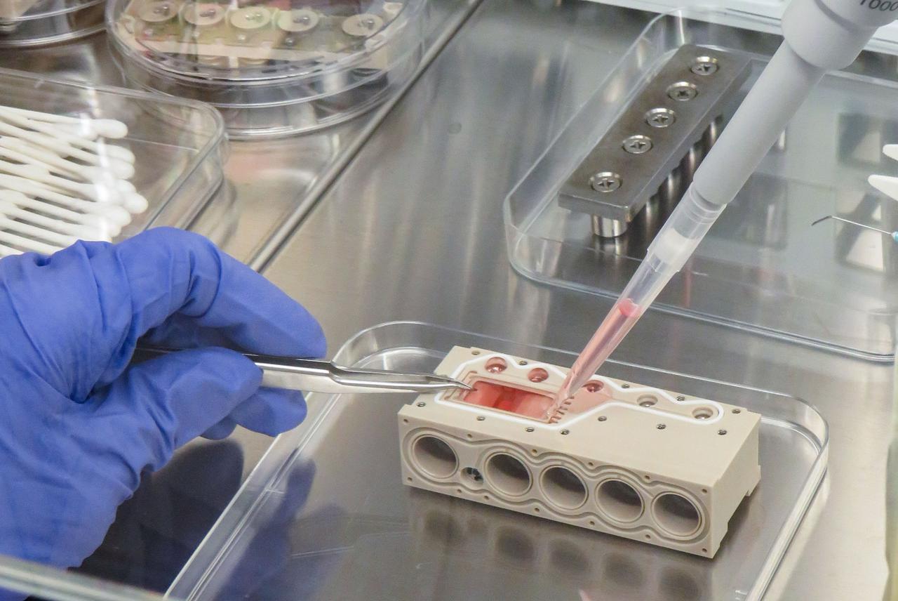 jsc2022e031233 (4/26/2022) --- A preflight view of the fillingof the cell culture chamber in an experiment unit suitable to spaceflight. The PROtection MEdiated by antioxidant nanoTEchnOlogy against neuronal damage in space (PROMETEO) (Antioxidant Protection) investigation proposes the use of biocompatible and biodegradable polydopamine-based nanoparticles to provide antioxidant protection to neurons undergoing exposure to altered gravity and cosmic radiation.Image courtesy of Kayser Italia.