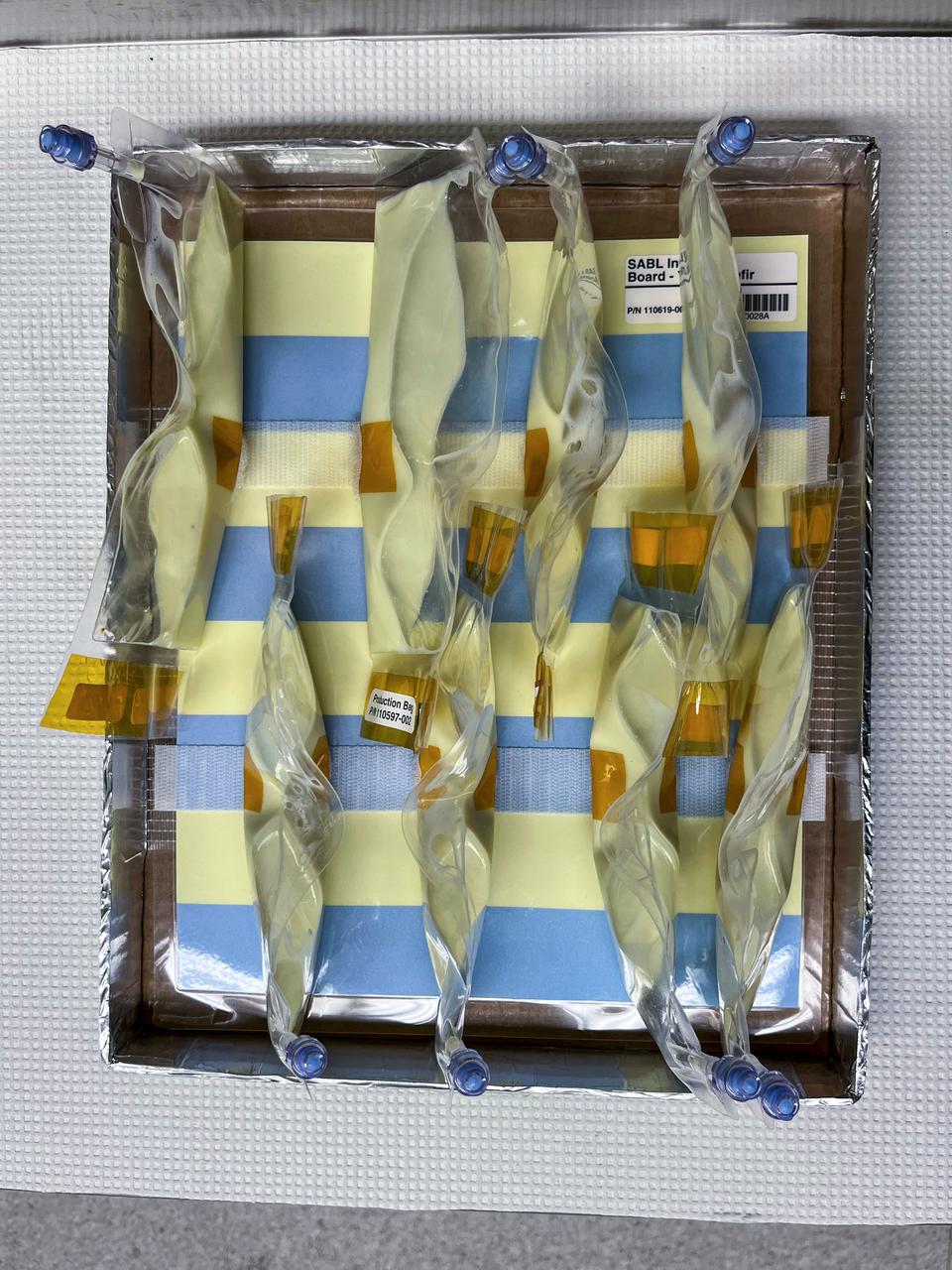 jsc2022e031236 (3/28/2022) --- A preflight image of BioNutrients-2 Yogurt Bags on SABL Tray Mockup, after 4hrs of incubation. As the yogurt organisms grow, the solution more acidic, and the pH indicator changes from blue to yellow.