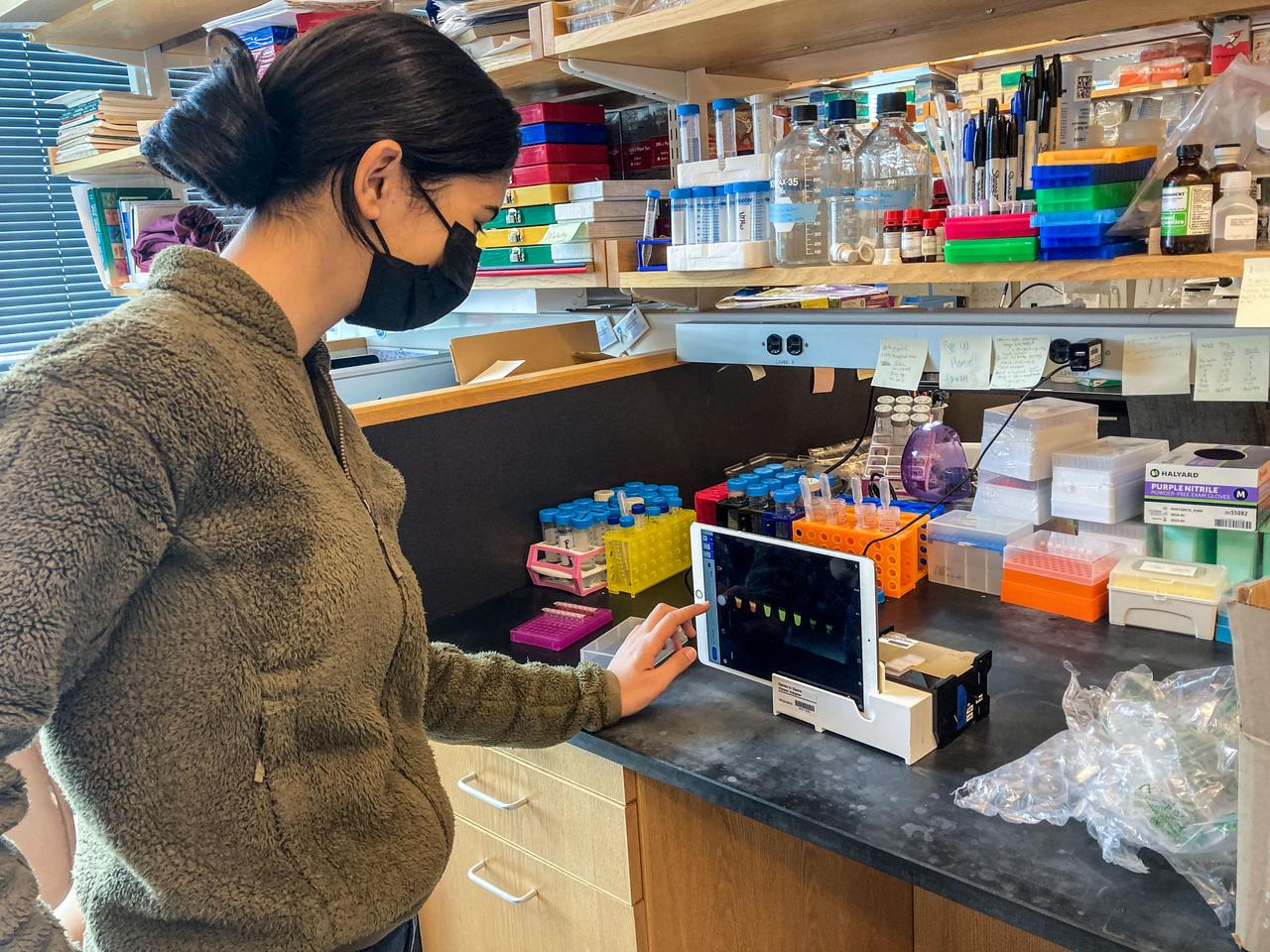 jsc2022e042475 (5/6/2022) ---  Selin Kocalar, the student who designed the experiment on which Genes in Space-9 is based, checks the results of her experiment on the ground as she prepares it for launch. Image courtesy of Genes in Space.