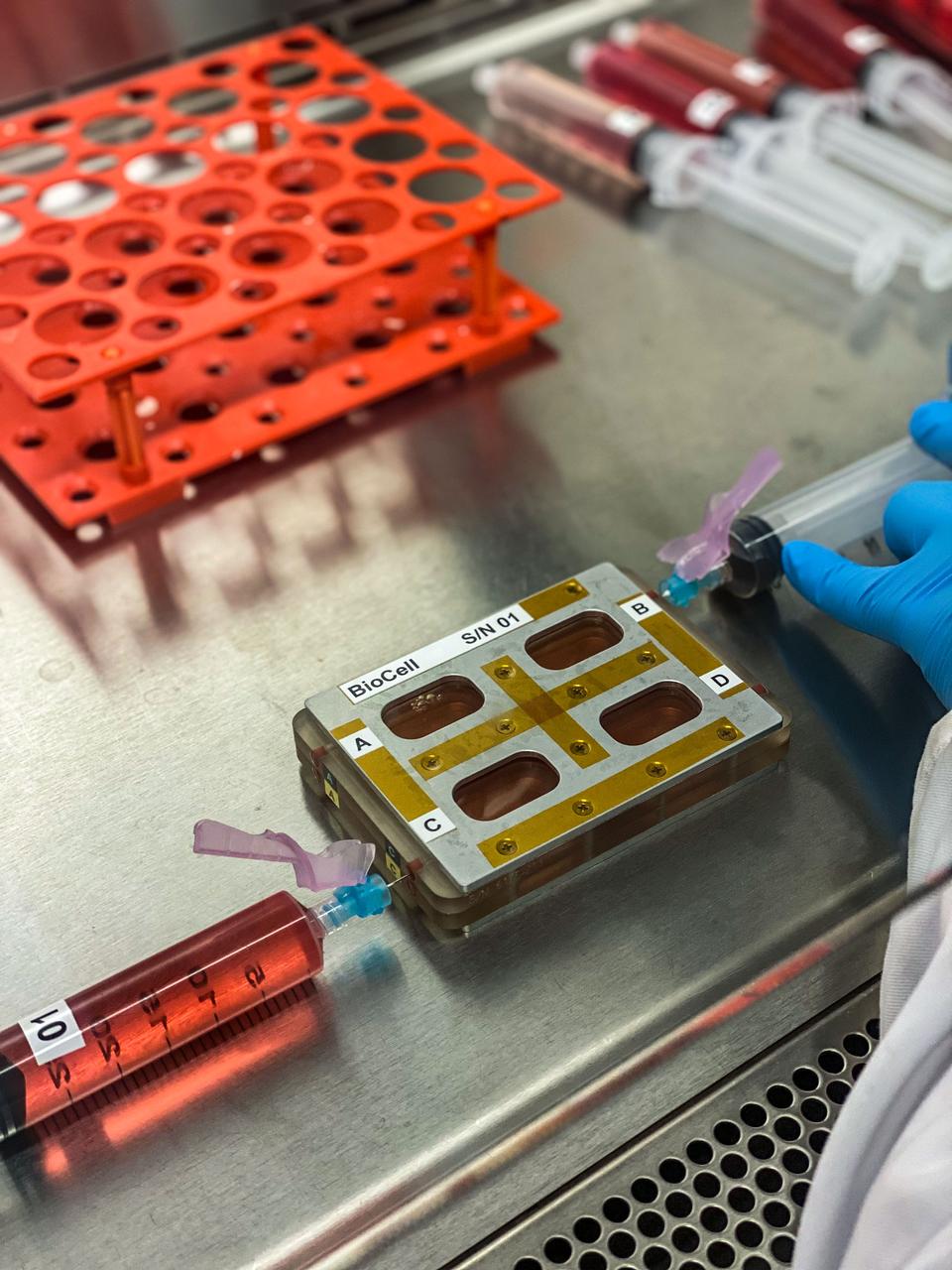 jsc2022e042484 (2/2/2022) --- A Bioserve BioCell is tested in preparation for the Microgravity as a Model for Immunological Senescense and its Impact on Tissue Stem Cells and Regeneration (Immunosenescence), a tissue chip investigation. Image courtesy of UCSF.