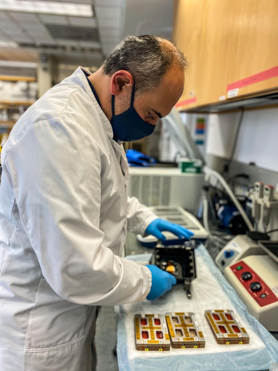 jsc2022e042485 (2/2/2022) --- Grigol Tediashvili conducts the EVT for the Microgravity as a Model for Immunological Senescense and its Impact on Tissue Stem Cells and Regeneration (Immunosenescence) investigation which studies the effects of microgravity on cells involved in tissue regeneration and whether recovery occurs post-flight. Image courtesy of UCSF.