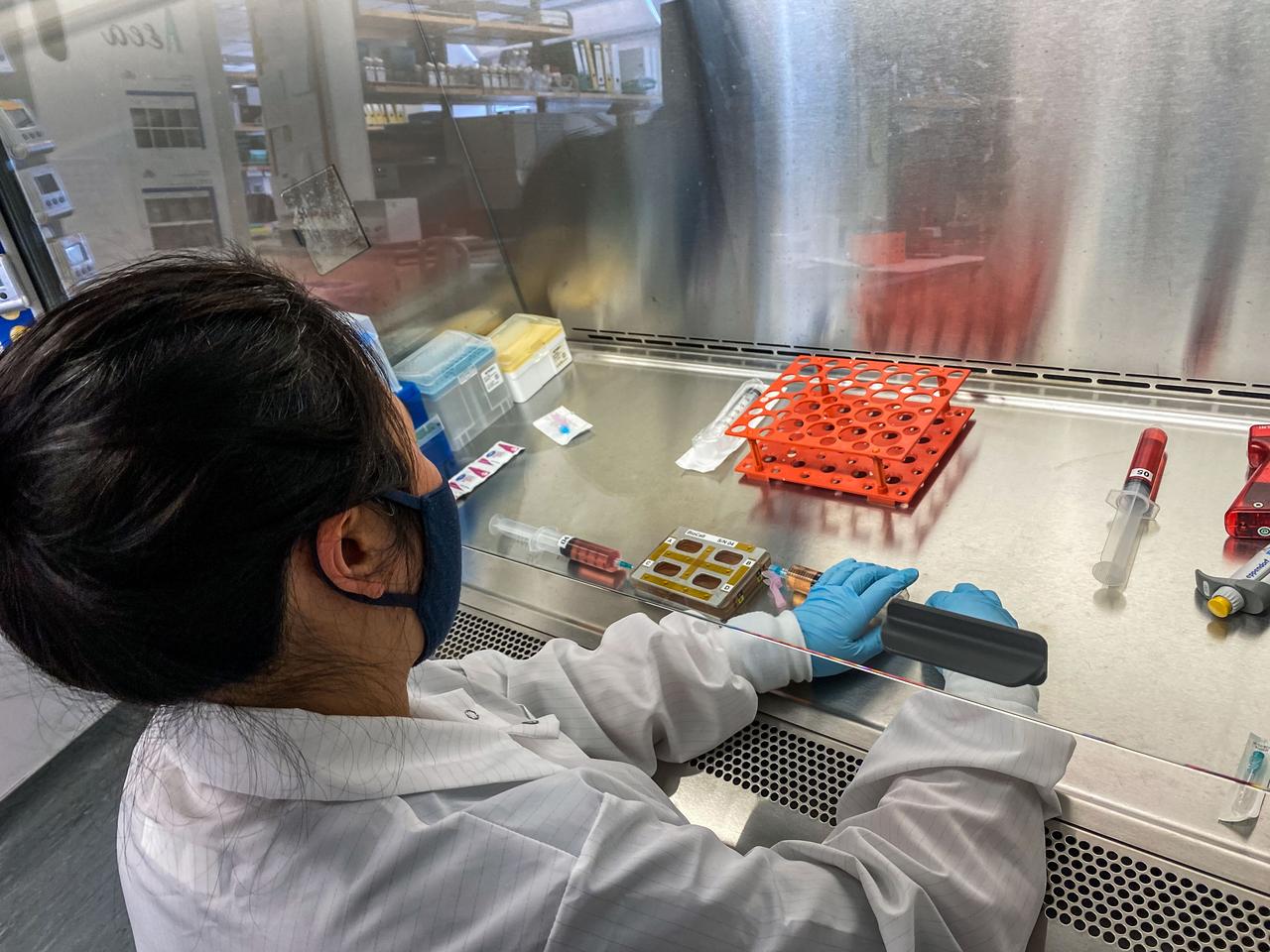 jsc2022e042486 (2/2/2022) --- Xiaomeng Hu conducts an Experiment Verification Test (EVT) in preparation for the Microgravity as a Model for Immunological Senescense and its Impact on Tissue Stem Cells and Regeneration (Immunosenescence) investigation. Image courtesy of the University of California San Francisco UCSF.