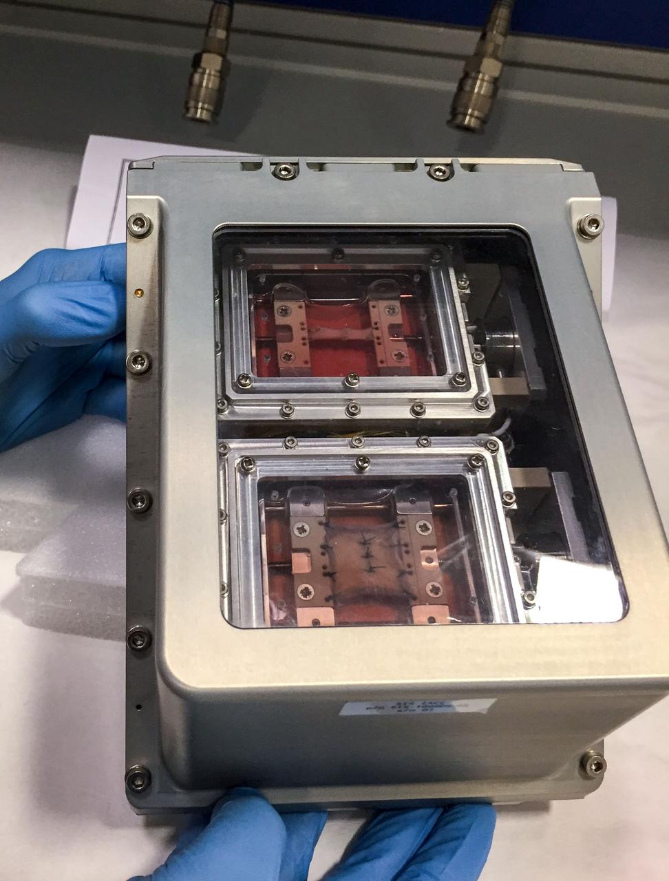 jsc2022e042612 (4/29/2022) --- Preflight image of skin and vein vessel samples cultured in the Suture in Space investigation hardware. Image courtesy of University of Florence.