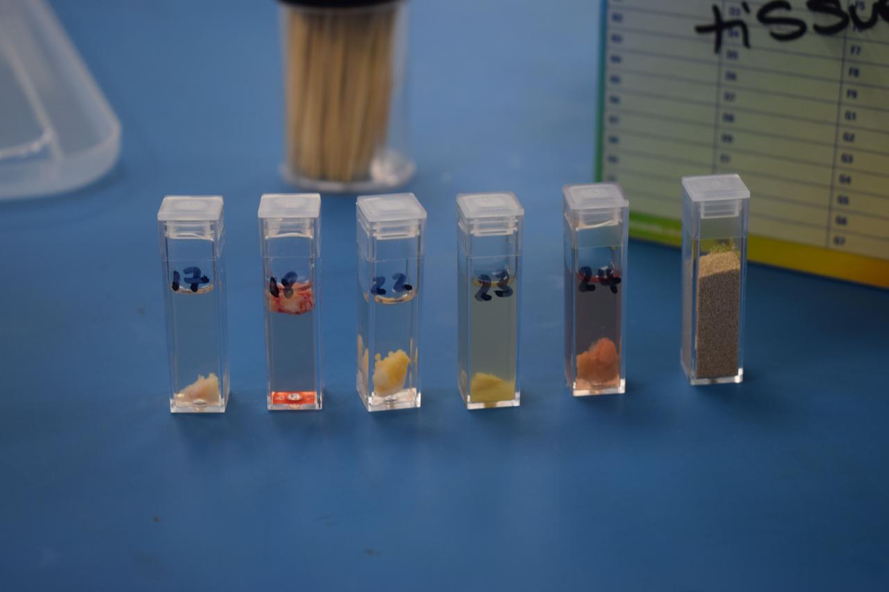 jsc2022e057883 (5/12/2022) --- A close up view of six sample cuvettes that are planned to hold five human skin tissue and microbiome samples from Diabetic Foot Ulcer patients and one yeast sample from Malta. This is part of the Follow-up Study of Human Skin Tissue Microbiome Studies and Yeast Cells in Space (Ice Cubes #9.2 – Maleth 2) investigation. Image courtesy of Space Applications Services, NV/SA.