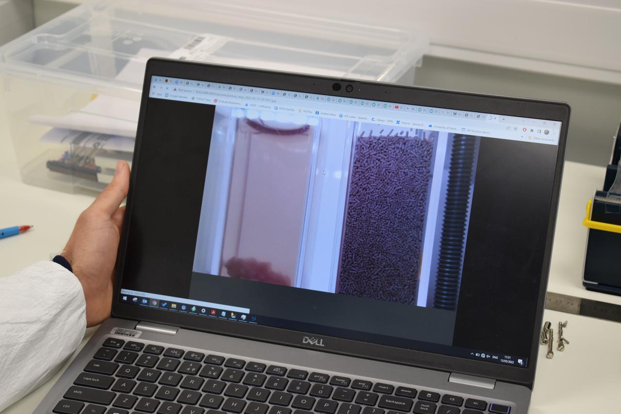 jsc2022e057891 (5/13/2022) --- A view of two samples from the onboard camera to the mission control centre and personal computer screen [Credit: Space Applications Services, NV/SA]