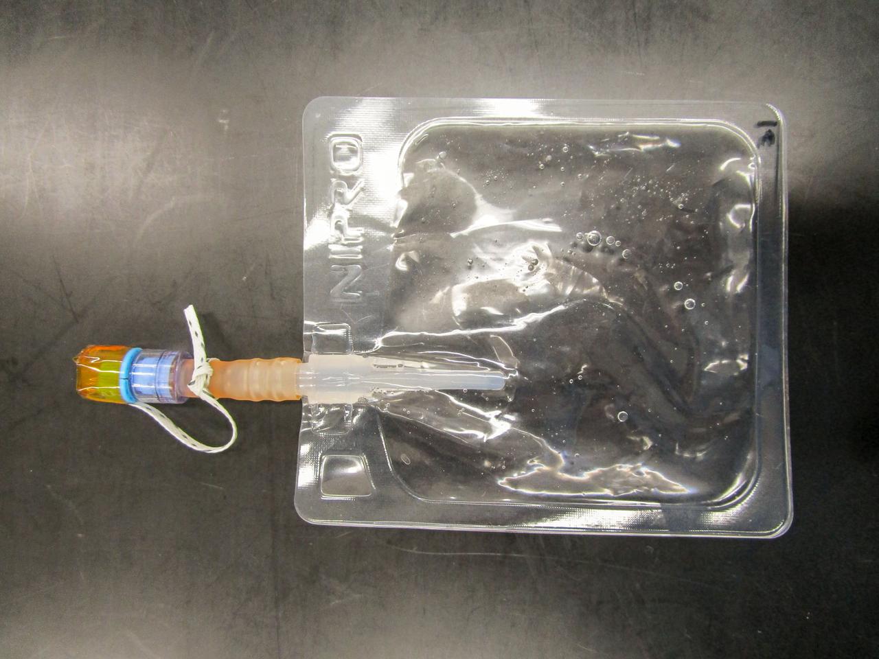 jsc2022e068258(5/11/2022) --- A preflight view of the Bag is used to culture nematodes in liquid medium, an injection port is available to transfer a portion of medium by using Syringe.  Effect of the Space Environment on the Neural Integration System and Aging of the Model Animal C. elegans (Neural Integration System) uses nematodes to examine how microgravity affects the nervous system. Image courtesy of JAXA