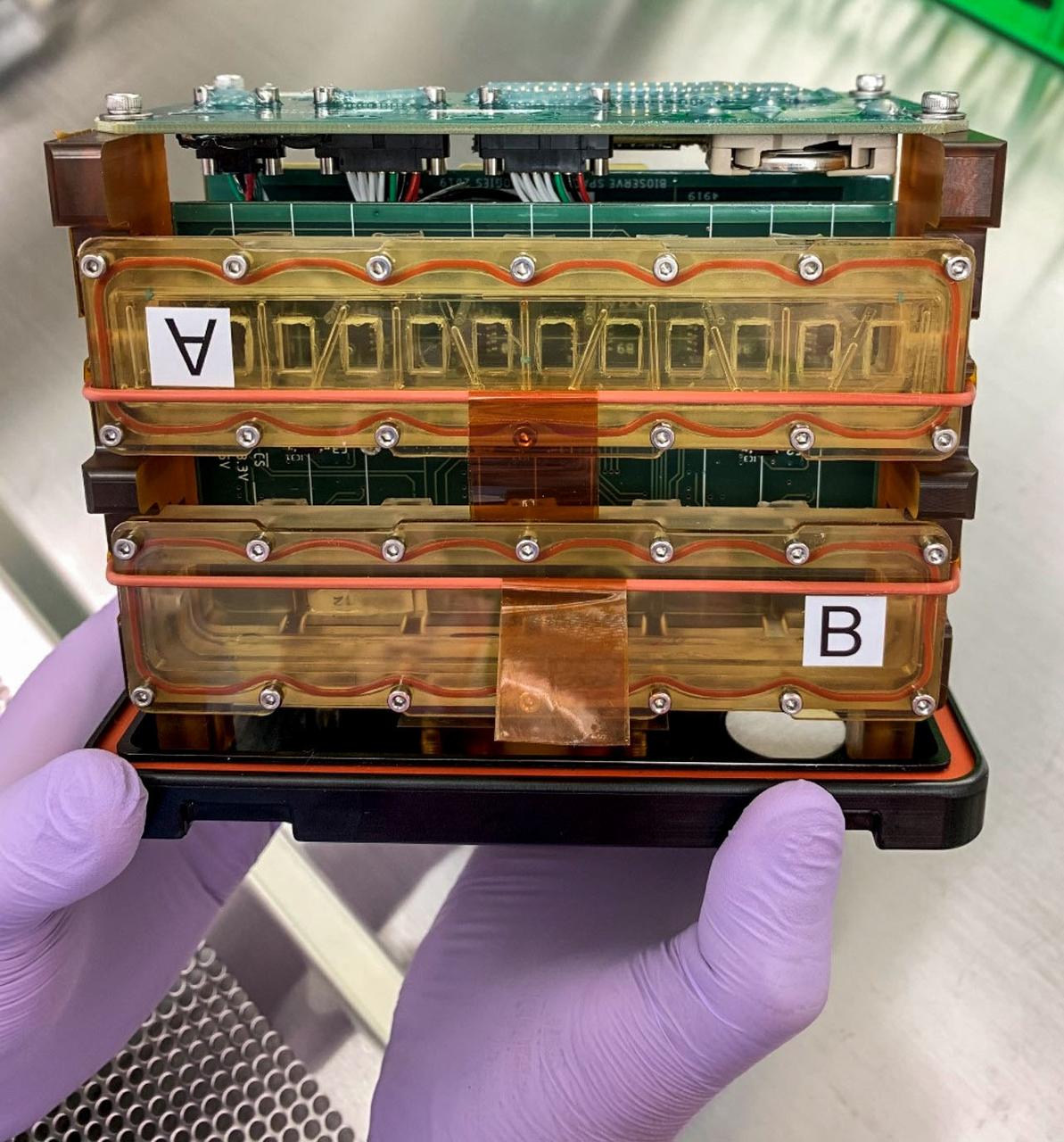 jsc2022e083015 (10/26/2022) --- A preflight image of tissue chambers loaded into the plate habitat (pHAB) for A Human iPSC-based 3D Microphysiological System for Modeling Cardiac Dysfunction in Microgravity (Engineered Heart Tissues-2) investigation. Each tissue chamber contains six tissues and is placed over magnetic sensors on a circuit board to measure contractile function of the Engineered Heart Tissues (EHTs). Image courtesy of Johns Hopkins University.