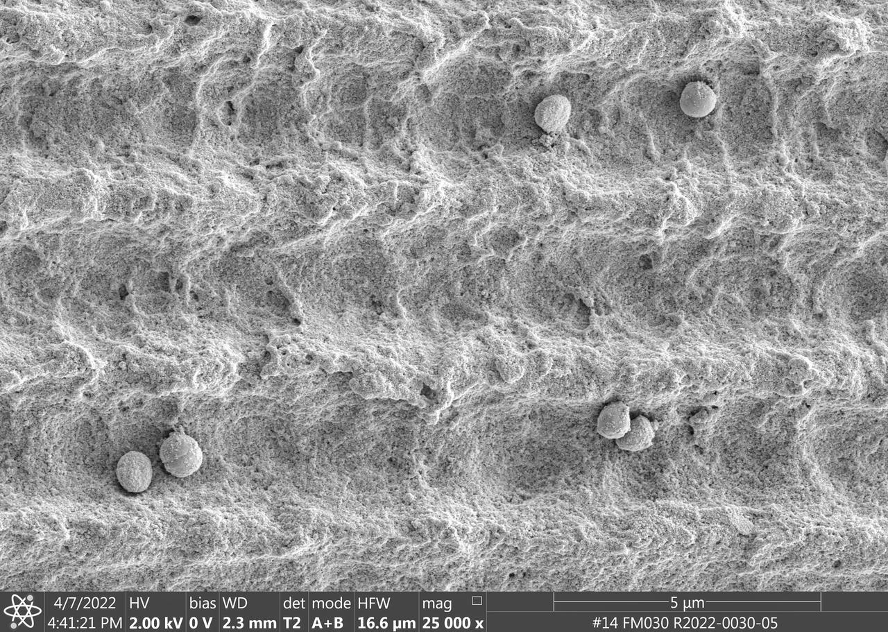 jsc2023e010177 (4/7/2022) --- This image is a scanning electron microscopic image of one of the ESA-Biofilms sample plates from the first launch to the ISS. The sample plate in this image is made of copper, which naturally has antimicrobial properties. This surface has a 3 µm laser structure engraved to the surface which improves antimicrobial efficacy. On the surface, only few cells of the bacterial species Staphylococcus capitis are attached. The cells appear small and are not actively dividing. The ESA-Biofilms investigation studies bacterial biofilm formation and antimicrobial properties of different metal surfaces under spaceflight conditions in altered gravity. Image courtesy of DLR, CC BY-NC-ND 3.0.