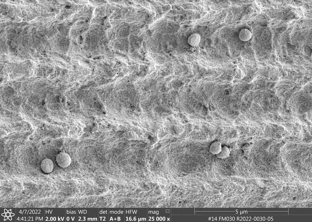 NASA image: jsc2023e010177