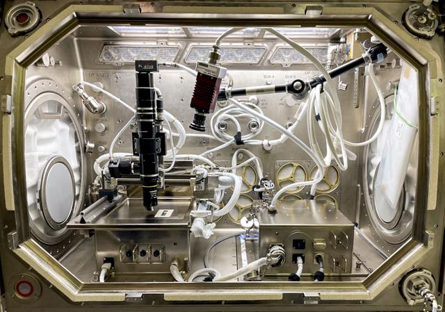 jsc2023e038732 (6/9/2023) --- The MaRVIn system is shown as it will be housed in the Microgravity Glovebox (MSG) facility aboard the International Space Station for the Microgravity Research for Versatile Investigations-Thermophoretic And Brownian Optical Observation System (MaRVIn-TABOOS) investigation. MaRVIn-TABOOS measures the movement of particles from a hot to a cold region of a fluid, a process known as thermophoresis.  Image courtesy of Tec-Masters, Inc.