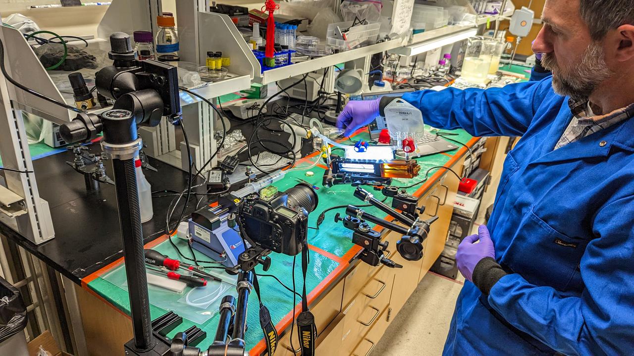 jsc2023e055885 (2/22/2023) --- Matthew Vellone operates the first prototype of the experimental system to fly aboard the International Space Station. The ground set-up is tilted to drive the flow of oil into a large tube using gravity. The Gaucho Lung investigation will study fluid transport within gel-coated tubes to learn more about treatment programs for respiratory distress syndrome and develop new contamination control strategies. Image courtesy of Bioserve.