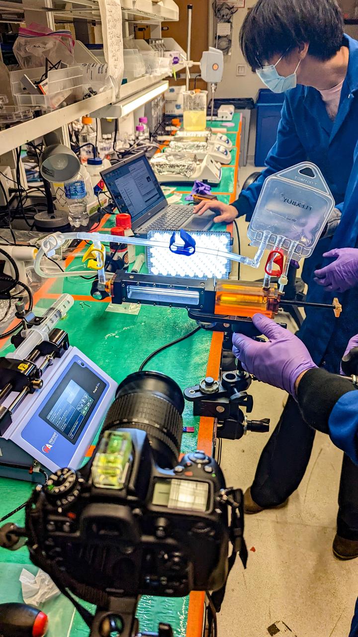 jsc2023e055886 (2/22/2023) --- Matthew Vellone operates the first prototype of the system to fly aboard the International Space Station, while Trinh Huynh records a video of the investigation. he Gaucho Lung investigation will study fluid transport within gel-coated tubes to learn more about treatment programs for respiratory distress syndrome and develop new contamination control strategies. Image courtesy of Bioserve.