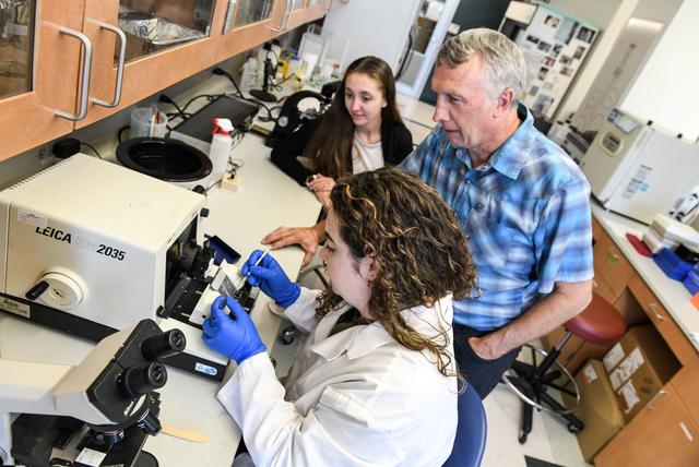 NASA image: RR-20 Preflight Imagery