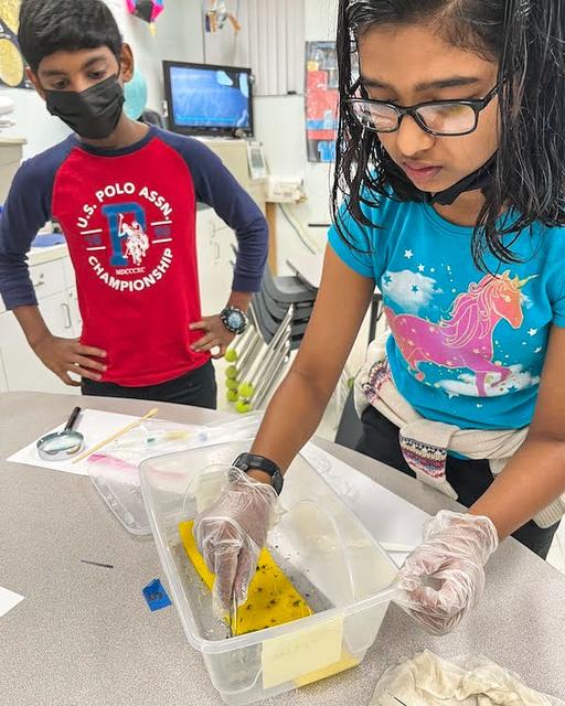 jsc2023e065196 (10/26/2023) --- Student researchers Lonappan John and Aadrita Roywork on their experiment, The Changes of Nutritional and Germination values of Sesame Microgreens in Microgravity, which will be included in the Nanoracks-National Center for Earth and Space Science Education-Orbiter-Student Spaceflight Experiments Program Mission 17 to ISS (Nanoracks-NCESSE-Orbiter-SSEP).