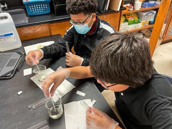 jsc2023e065199 (1/26/2023) --- Mundy's Mill Middle School student researchers work on their experiment, Germination of Mentha spicata in Microgravity, which will be included in the Nanoracks-National Center for Earth and Space Science Education-Orbiter-Student Spaceflight Experiments Program Mission 17 to ISS (Nanoracks-NCESSE-Orbiter-SSEP).