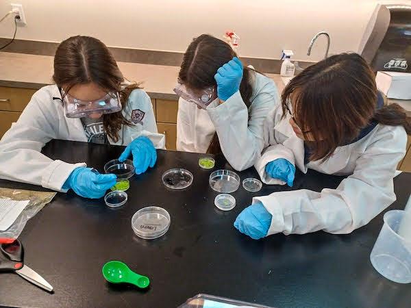 jsc2023e065201 (1/12/2023) --- Pinecrest St. Rose student researchers work on their experiment, Wolffia in Microgravity, which will be included in the Nanoracks-National Center for Earth and Space Science Education-Orbiter-Student Spaceflight Experiments Program Mission 17 to ISS (Nanoracks-NCESSE-Orbiter-SSEP).