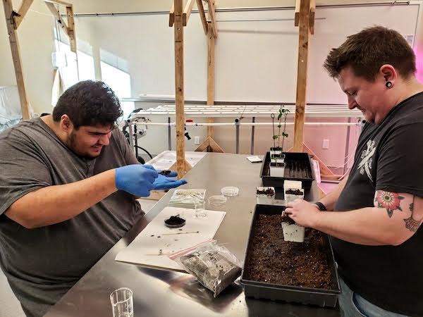 jsc2023e065205 (1/26/2023) --- Collin College student researchers Henry Elmendorf and Stefano Sacripanti work on their experiment, which will be included in the Nanoracks-National Center for Earth and Space Science Education-Orbiter-Student Spaceflight Experiments Program Mission 17 to ISS (Nanoracks-NCESSE-Orbiter-SSEP).