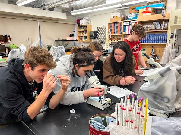 jsc2023e065213 (10/19/2023) --- Student researchers work on their experiment, Examining Artemia salina Hatching in the Presence of Microgravity, which will be included in the Nanoracks-National Center for Earth and Space Science Education-Orbiter-Student Spaceflight Experiments Program Mission 17 to ISS (Nanoracks-NCESSE-Orbiter-SSEP). Pictured from left to right: Raphael Senterfit-Sanjuan, Zola Campisi, Avis Roszco, Jessica Amato and Tucker Sheehan.