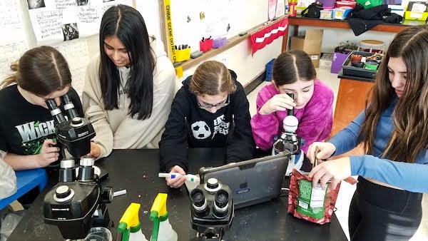 jsc2023e065215 (2/2/2023) --- Student researchers Isabella Zabinski, Sharlyn Dubey, Aria Molinelli, Avital Kandel, and Taylor Tripet work on their experiment, The Effect of Microgravity on Gray Mold, which will be included in the Nanoracks-National Center for Earth and Space Science Education-Orbiter-Student Spaceflight Experiments Program Mission 17 to ISS (Nanoracks-NCESSE-Orbiter-SSEP).