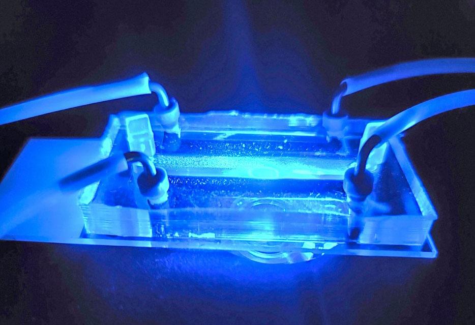 NASA image: jsc2024e005964