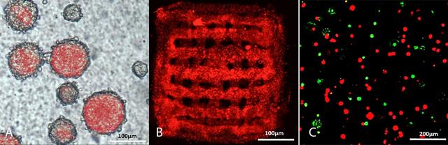 NASA image: jsc2024e006078