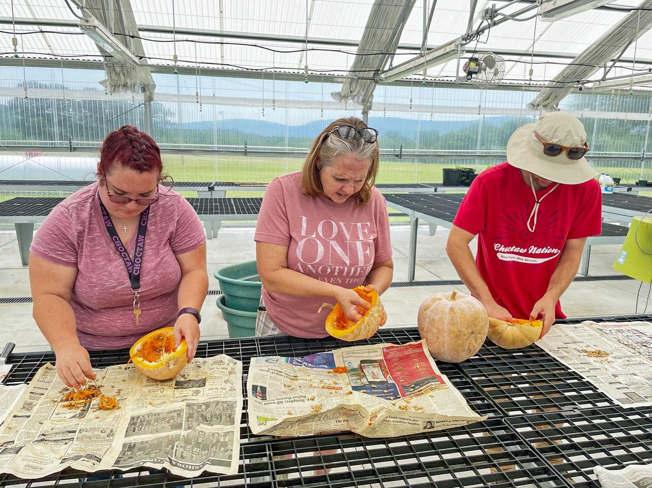 jsc2024e006092 (1/19/2024) --- Three Choctaw Nation of OK citizens remove seeds from a squash for the Choctaw Heirloom Seeds.investigation. Image courtesy of Choctaw Nation of Oklahoma.