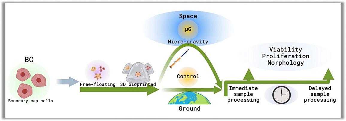 NASA image: jsc2024e016256