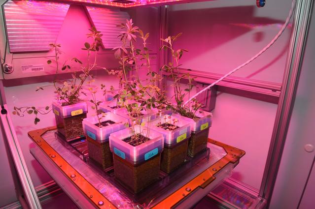 NASA image: jsc2024e021224