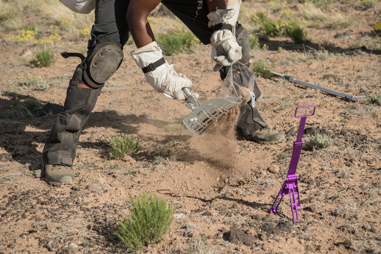 NASA astronaut Andre Douglas uses a rake to pour “lunar” samples into a sample bag during a simulated moonwalk in the San Francisco Volcanic Field in Northern Arizona on May 17, 2024. Credit: NASA/Josh Valcarcel 