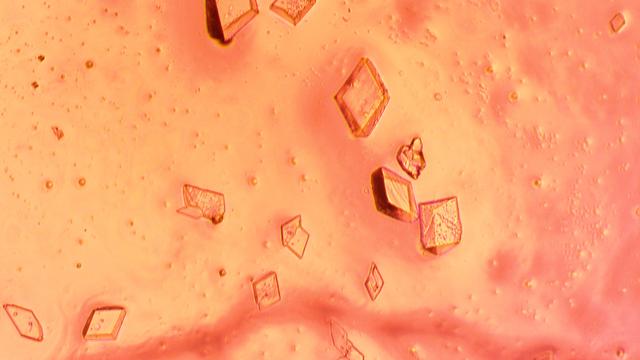 NASA image: jsc2024e038396