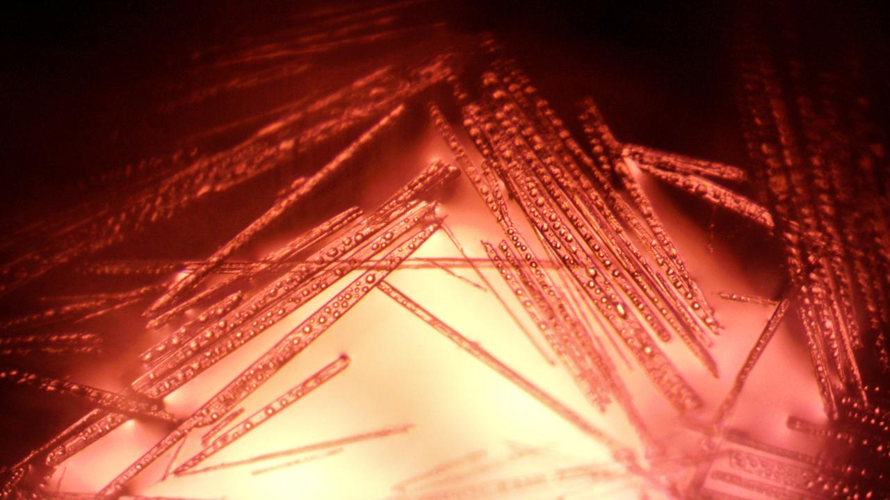 jsc2024e038398 (6/5/2024) --- Famoxadone crystals grown with Redwire's PIL-BOX aboard the International Space Station. This image was taken after the crystals returned to Earth in April 2024. This small-molecule antifungal agent protects crops against fungal diseases like downy mildew and blights on potatoes, lettuce, grapes, and vegetables. The Pharmaceutical In-space Laboratory-03 (ADSEP-PIL-03) investigation grows crystals of several commercially relevant small molecules, each having various structures that may be altered by a microgravity environment. Image courtesy of Redwire.