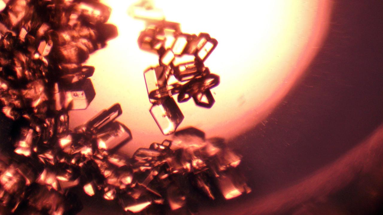 jsc2024e038399 (6/5/2024) --- Glycine crystals grown with Redwire's PIL-BOX aboard the International Space Station. This image was taken after the crystals returned to Earth in April 2024. Glycine is an amino acid which serves many functions in the human body such as a neurotransmitter, a component in collagen, and a building block for other important molecules. The Pharmaceutical In-space Laboratory-03 (ADSEP-PIL-03) investigation grows crystals of several commercially relevant small molecules, each having various structures that may be altered by a microgravity environment. Image courtesy of Redwire.