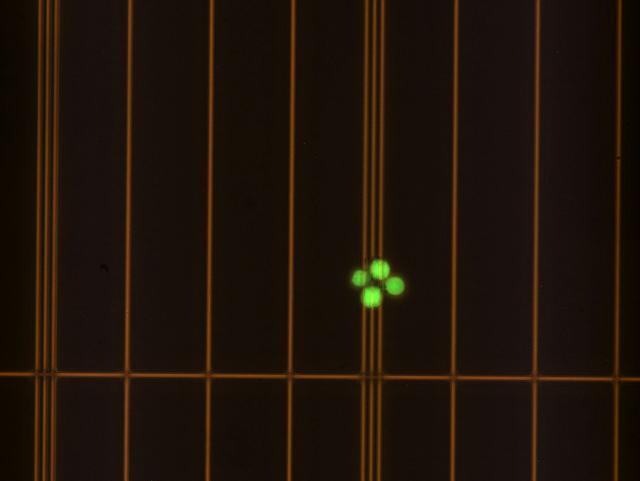 NASA image: InSPA-StemCellEX-H1 Preflight Imagery