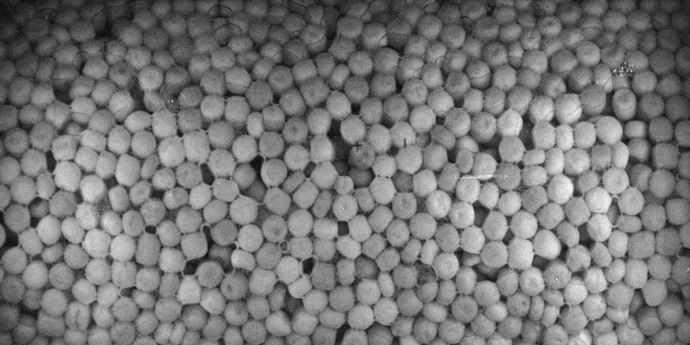 NASA image: PBRE-WR Preflight Imagery