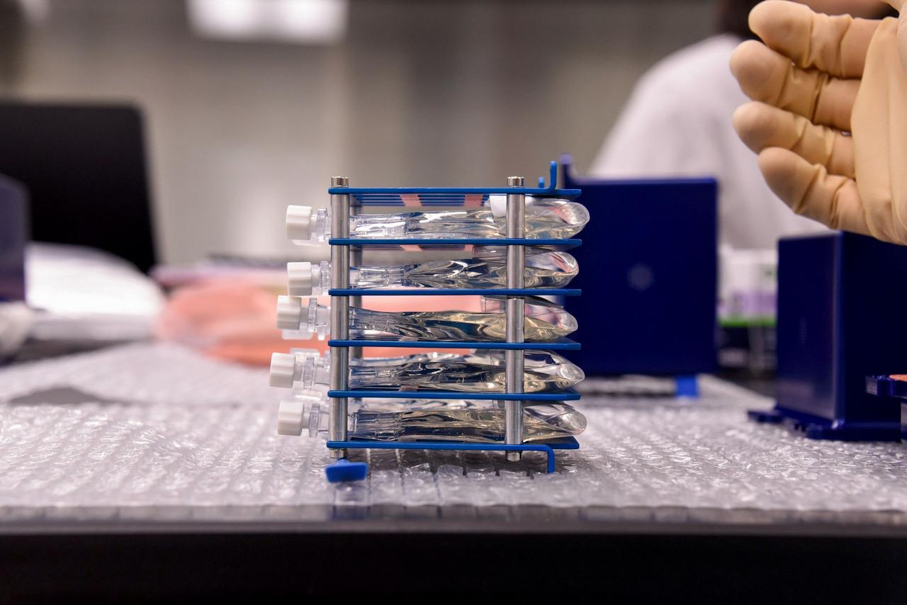 jsc2024e050833 (12/2/2019) --- Preflight image of the Rotifer-B2 experiment container. The Rotifer-B2 investigation aims to explore the effects that spaceflight has on deoxyribonucleic acid (DNA) repair mechanisms of the bdelloid rotifer Adineta vaga. This is achieved by pre-exposing rotifers to high levels of radiation on Earth and then culturing them in Kubik, an on-orbit incubator facility. After exposing rotifers to space conditions inside the International Space Station, the samples are frozen and returned to Earth for postflight analyses. Image courtesy of the University of Namur.