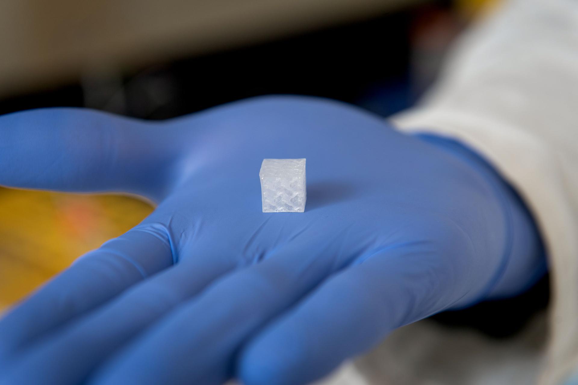 A small, white gel-like cube, about the size of a sugar cube, sits in the palm of a hand wearing a blue latex glove. The cube has a pattern of open spaces inside of it.