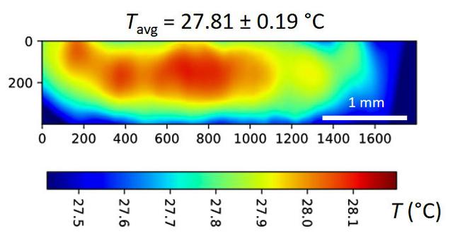 jsc2024e065172 (10/3/2024) --- A temperature map is seen within a microgel suspension illuminated by the Colloidal Solids (COLIS) near infrared laser (NIR). Reference ground tests for the Colloidal Solids (COLIS) investigation show spatial variation of the sample temperature while illuminating an aqueous, dense suspension of thermosensitive microgels with a 0.5 s pulse of NIR laser light. The NIR beam propagates from left to right. The sample temperature with no NIR laser is uniform and set to 27°C. The temperature values are inferred from the change in scattered intensity at a scattering angle of 90°, as recorded by one of the complementary metal-oxide-semiconductor (CMOS) cameras of COLIS. Results from this investigation are expected to provide a deeper understanding of soft solid interactions with gravity and microgravity, paving the way for the design of new materials. Image courtesy of Redwire Space Laboratories, Kruibeke – Belgium.