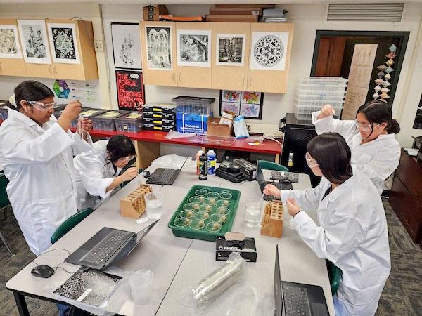 jsc2024e066521 (2/8/2024) --- Lamont Community winners work to cultivate knowledge through Spinacia oleracea seed germination research. Their experiment, Effects of Microgravity on Spinacia oleracea, is part of the Nanoracks-National Center for Earth and Space Science Education-Surveyor-Student Spaceflight Experiments Program Mission 18 to ISS (Nanoracks-NCESSE-Surveyor-SSEP).